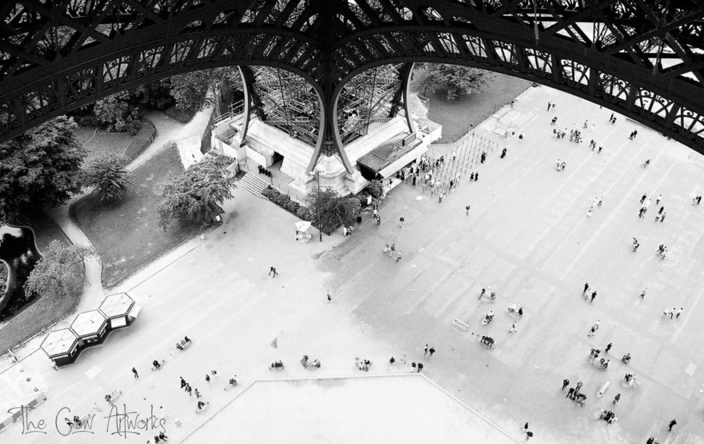 Pfeiffer Doreen - Eiffel Ants