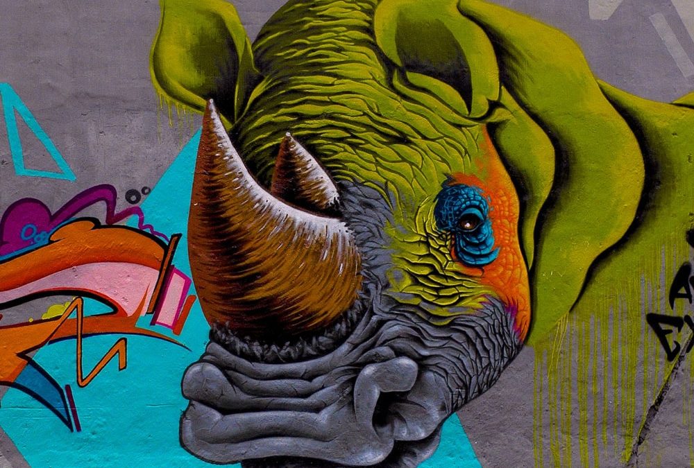 The Graffiti Rhino