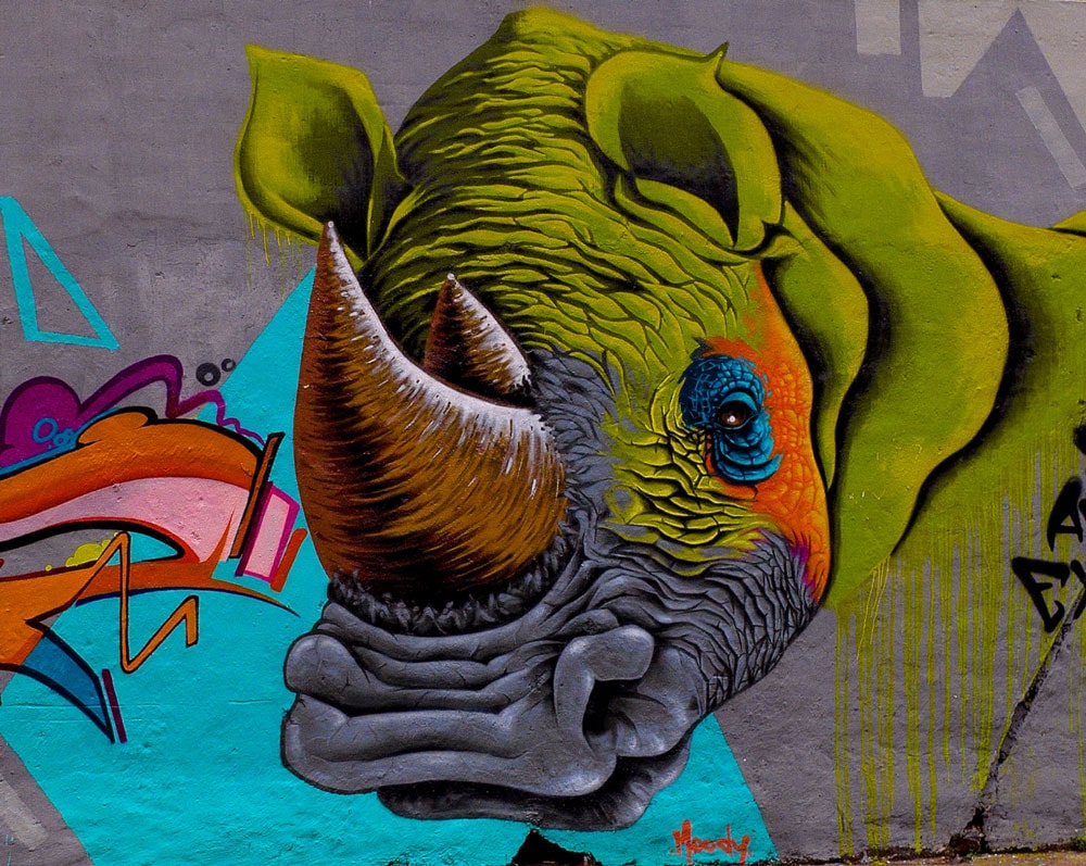 Graffiti Rhino