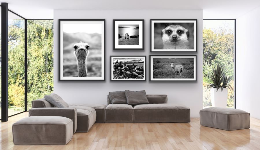 Art Trends 2021 - Pet Mural