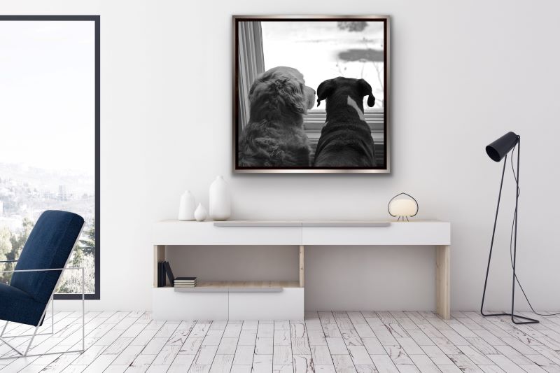 Art Trends 2021 - Pet Mural