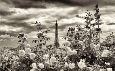 The Eiffel Tower