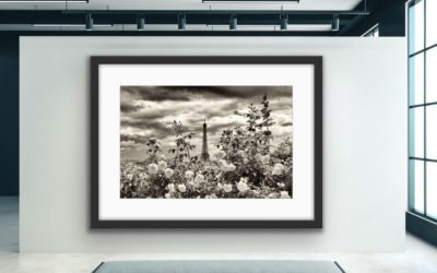 Fine Art Framing Tips