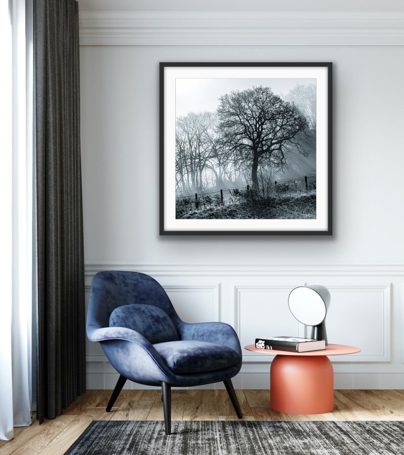 Trees by Charles Johnstone