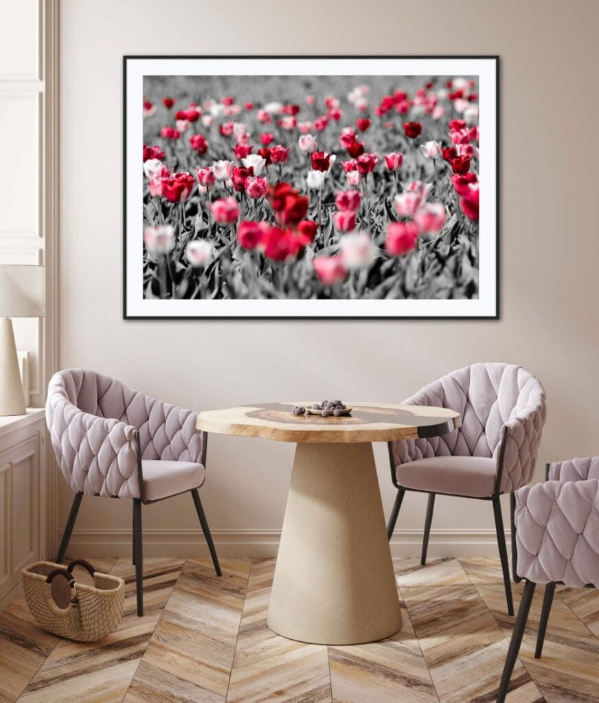 Framed image of field of red and white roses with only the flow in color