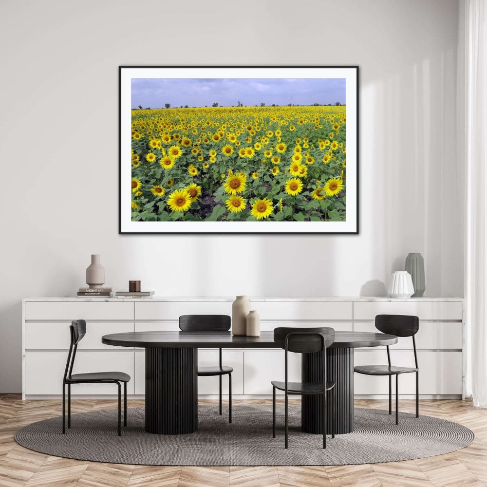 framed picture of a field of sunflowers hanging on a wall