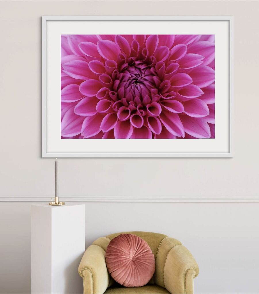 Framed image of a close up of a purple flower. The frame is hanging on a wall above a lounge chair