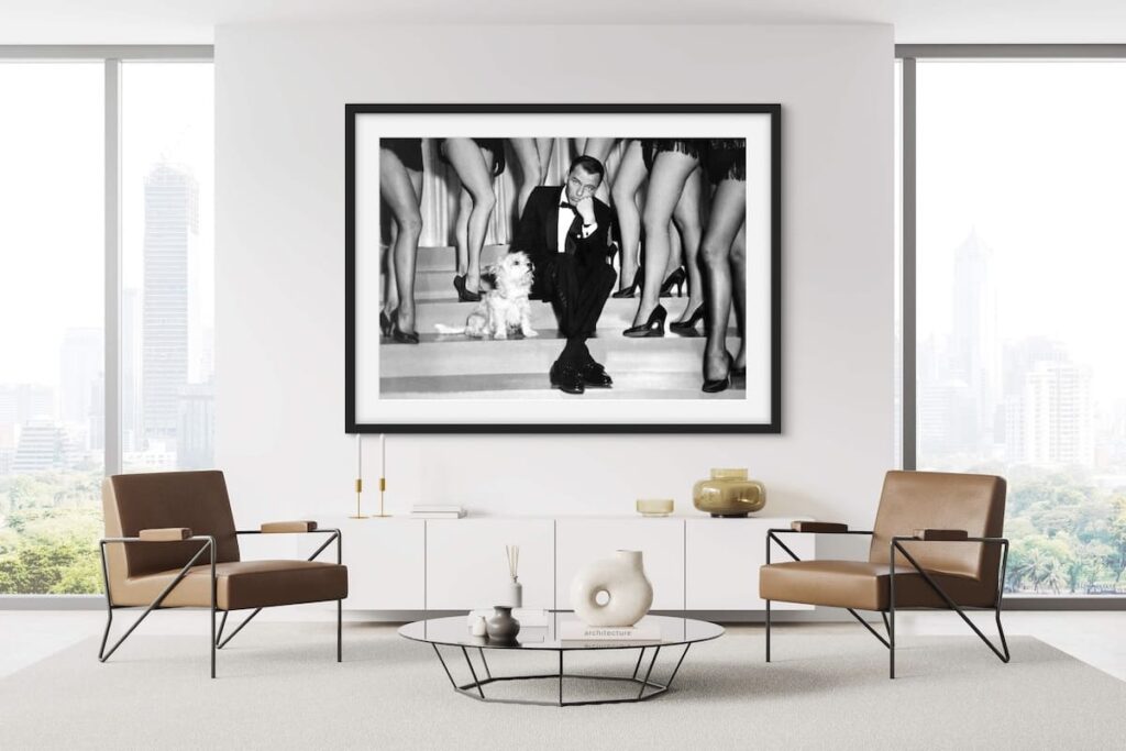 Framed black and white photo of Frank Sinatra sitting on steps with a poodle. Female dancers legs can be seen behind and next to him