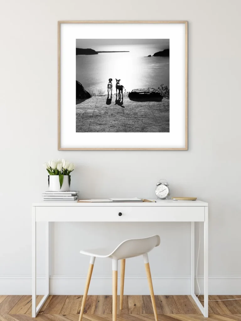 A framed black-and-white photograph of two dogs standing on a ledge overlooking a calm body of water, displayed above a white desk with a small potted plant and an alarm clock.